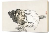 Obraz 70x50cm Star Fish and Conchby, Kōno Bairei  Vintage do Salonu