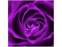 50X50CM FIOLETOWA RÓŻA OBRAZ