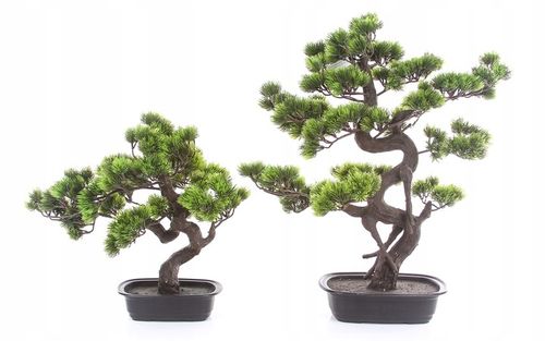 sztuczne drzewko BONSAI LARCH 48x35 modrzew w ceramicznej czarnej doniczce na Arena.pl