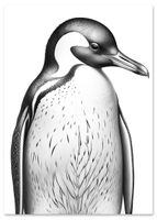 Plakat pingwin czarnobiały 50x70 cm