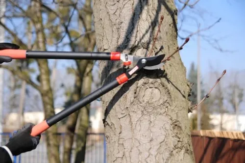 SEKATOR DO KONARÓW YATO TELESKOPOWY OGRODOWY 960MM na Arena.pl