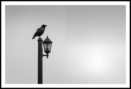 Plakat 91,5x60cm Samotny Postój Kruka na Arena.pl