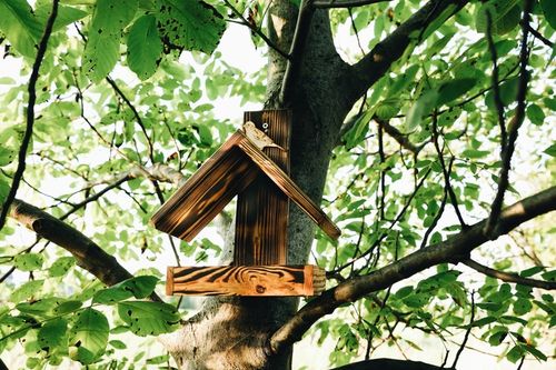DREWNIANY karmnik dla PTAKÓW budka góralski POLSKI HIT DOMEK na Arena.pl