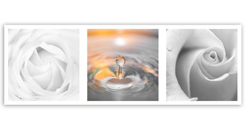 Deco Panel, Płatki i kropla 120x40 na Arena.pl