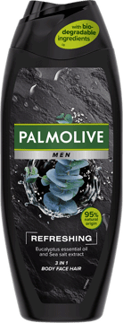 PALMOLIVE Men 500 ml na Arena.pl