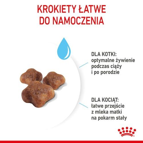 Zbilansowana karma dla kociąt, kotek w ciąży i karmiących Royal Canin 4kg zdjęcie 4
