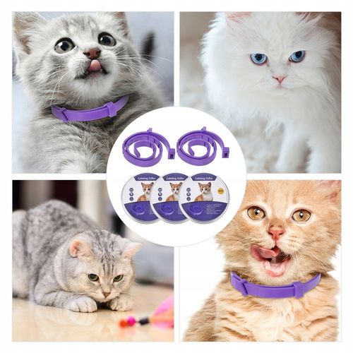 Obroża na pchły i kleszcze dla kota w wieku 8 miesięcy 32 CM na Arena.pl