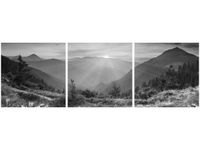 product-compare-58647655