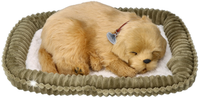 Piesek Retriever Maskotka Szczeniaczek Oddychający Śpiący Perfect Petzzz