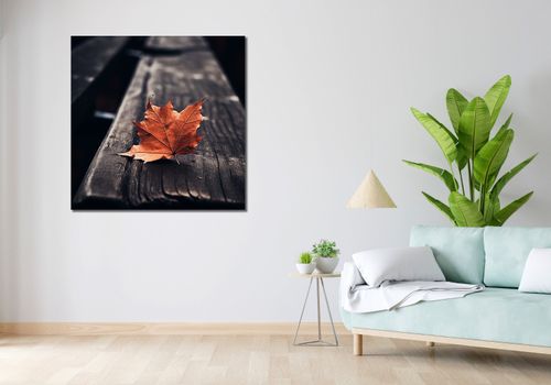Obraz 100x100cm Pojedynczy Liść na Arena.pl