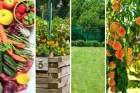 Obornik Kurzy 40l Ekologiczny Granulat EKO 25kg Uniwersalny Granulowany