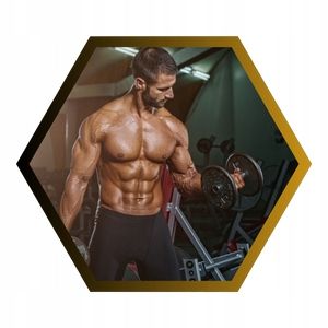 TESTOSTERON Tabletki BOOSTER TESTOSTERONU Pożądanie Libido | INSPORT na Arena.pl