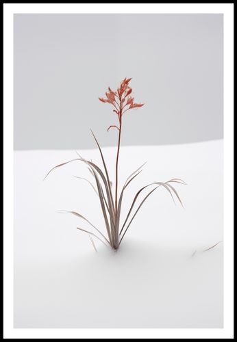 Plakat 61x91,5cm Subtelność Natury na Arena.pl