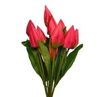 Bukiet tulipan x9 czerwony