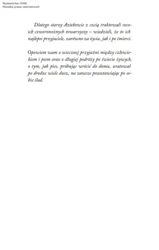 Muszę cię odnaleźć na Arena.pl