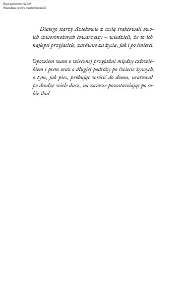 Muszę Cię Odnaleźć zdjęcie 14