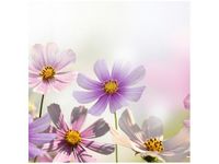 50X50CM DELIKATNE KWIATY OBRAZ