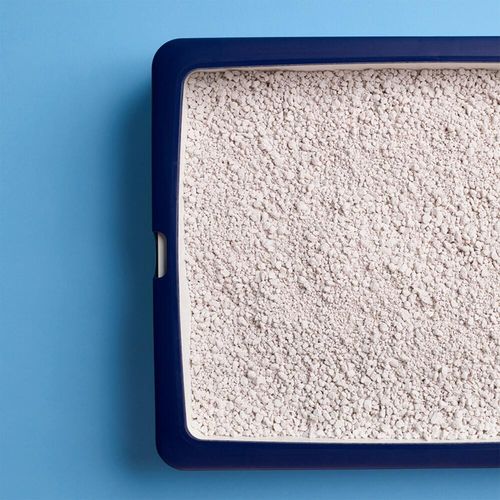 catsan hygiene plus 20l na Arena.pl