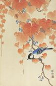 Plakat 53x81cm Great Tit on Branch, Koson Japoński Vintage do Salonu