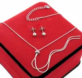 KOMPLET SREBRNY 2 cz KRAWATKA ŻMIJKA STAL CHIRURGICZNA