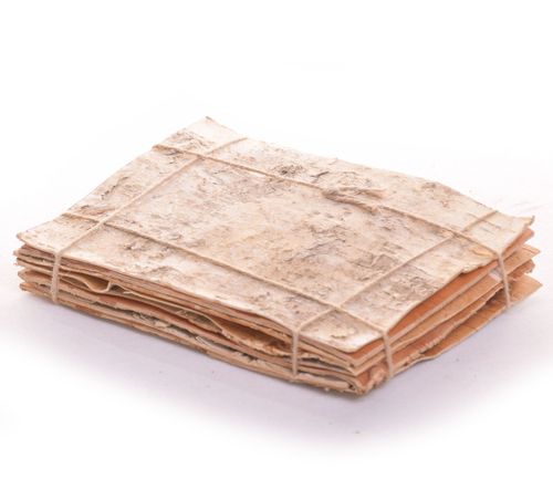 Kora brzozowa plastry 20x15 na Arena.pl