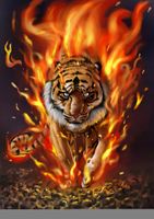 FOTOTAPETA tygrys w płomieniach dzikie koty JAKOŚĆ