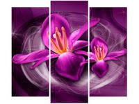 90 80CM OBRAZ T3 ELEM RÓŻOWE KOSMICZNE KWIATY JAKUB BANAŚ DRUK ŚCIENNY