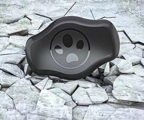 Etui case na lokalizator Apple AirTag na obrożę psa kota GPS na Arena.pl