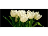 100X40CM BIAŁE TULIPANY MARK FREETH OBRAZ DREWNO