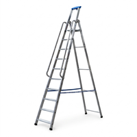 Drabina aluminiowa jednostronna GIERRE 10 stopni podest 150 kg 4,32 m