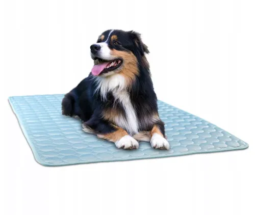 Mata chłodząca dla psa legowisko xs 40x30cm na Arena.pl