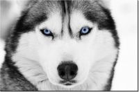 product-compare-58693941