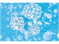 100 70CM OBRAZ PŁÓTNO DMUCHAWCE ABSTRAKCYJNYM BŁĘKITNYM TLE PŁÓTNO RAMA