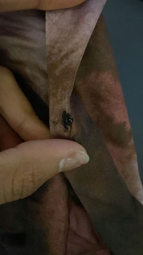 LIU JO - Sukienka letnia 42 na Arena.pl