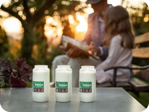 Wkłady do zniczy olejowe Bolsius RC5 całoroczne 100h - zgrzewka 24 sztuki na Arena.pl