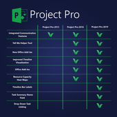 Microsoft Project Professional 2013 | ESD | Oficjalny | CENA PROMOCYJNA