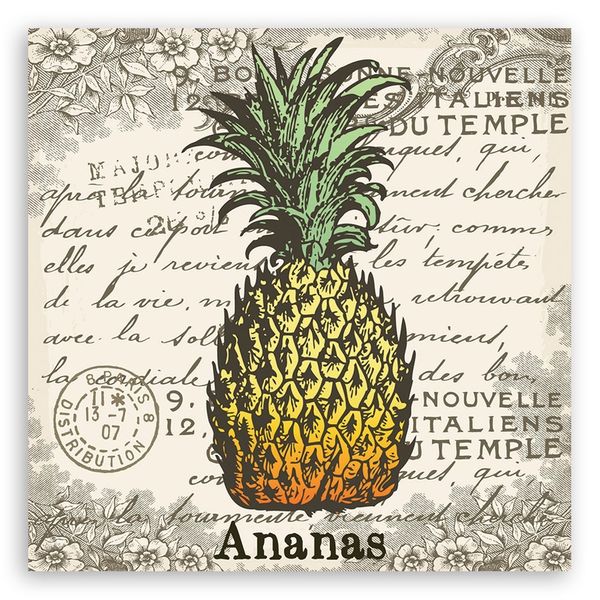 Emaga Obraz na płótnie, Ananas vintage - 60x60 zdjęcie 3