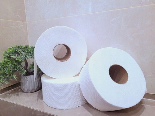 Papier toaletowy Celuloza Jumbo 2-warstwowy 12 rolek na Arena.pl