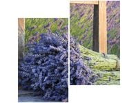 60X60CM BUKIET LAWENDY DWU OBRAZ ŚCIAN