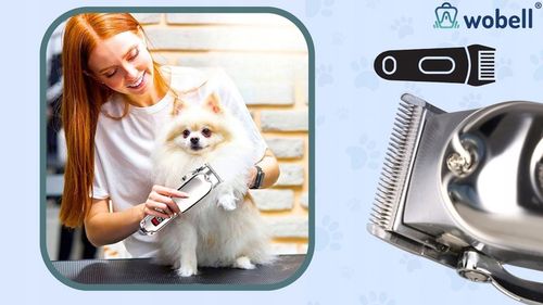 Maszynka do strzyżenia zwierząt dla psa kota golarka cicha profesjonalna na Arena.pl