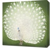 Obraz 50x50cm Peacock, Koson Japoński Vintage do Salonu