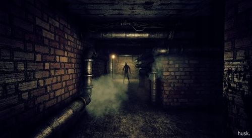 HUSK PL PC KLUCZ STEAM na Arena.pl