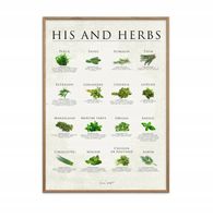 Obraz Poster&Frame Simon Holst His and Herbs 30x40cm