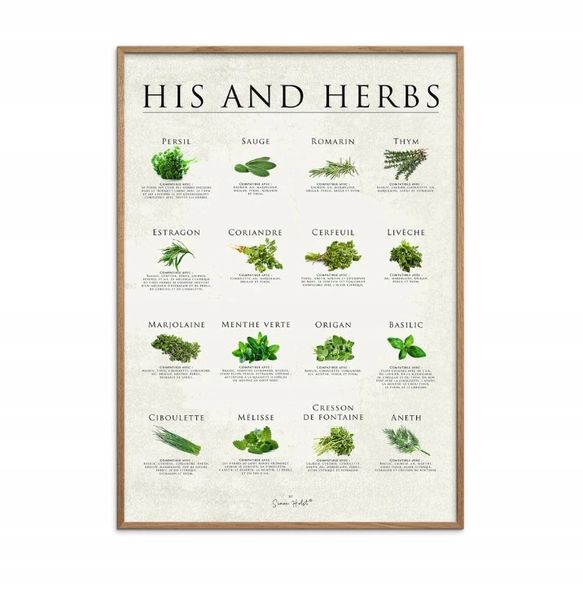 Obraz Poster&Frame Simon Holst His and Herbs 30x40cm zdjęcie 1