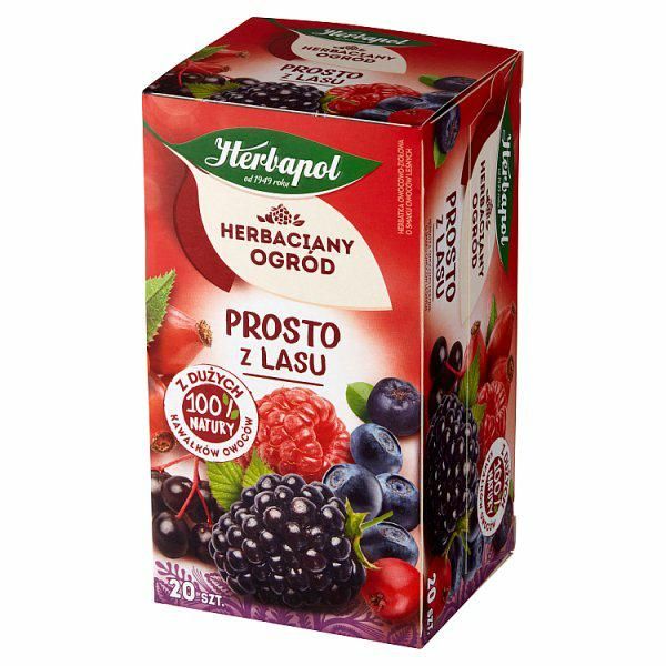 HERBAPOL HERBATA PROSTO Z LASU 20TB zdjęcie 1