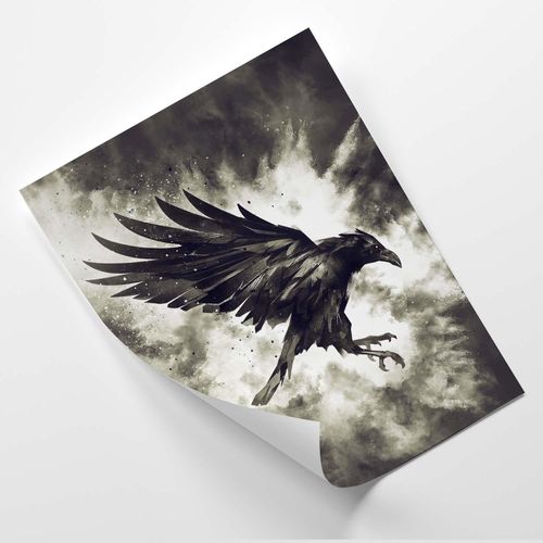 Plakat, Czarny kruk 40x60 na Arena.pl