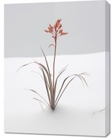 product-compare-59469661