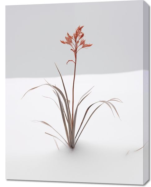 Obraz 70x90cm Subtelność Natury zdjęcie 1