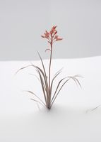 product-compare-59356734