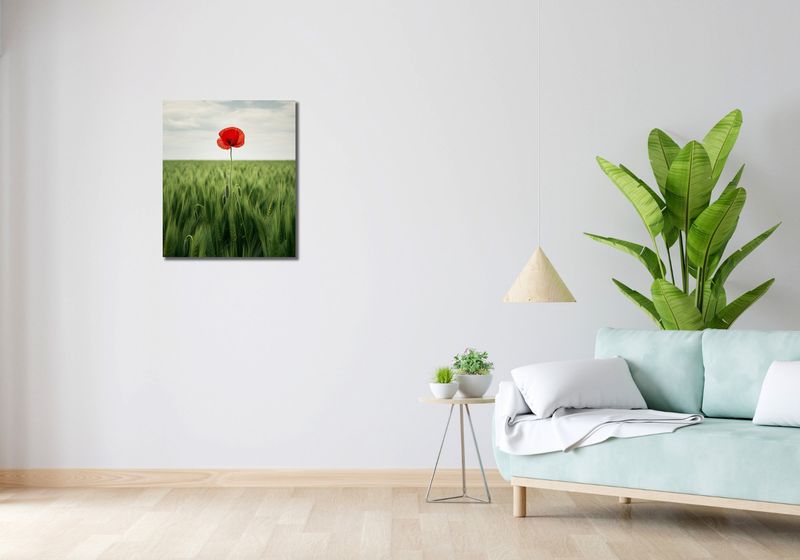 Obraz 50x60cm Samotny Mak na Polu zdjęcie 2